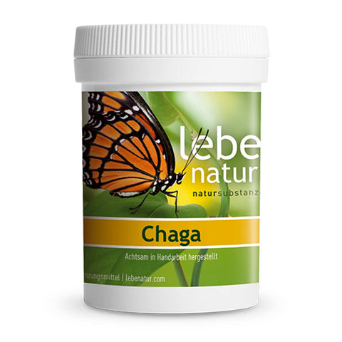 Chaga Vitalpilz Bio