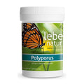 Polyporus 90 Kapseln