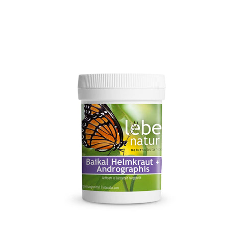Baikal Helmkraut Andrographis 90er